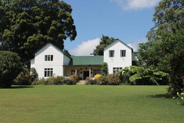 Kiambethu Tea Farm: Day Tour From Nairobi