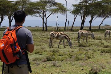 Nairobi Day Trip To Crescent Island Game Conservancy - Lake Naivasha