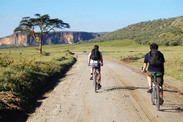 Private Tour: Hells Gate and Lake Naivasha Guided from Nairobi