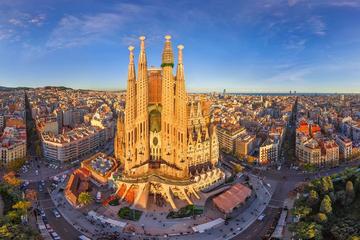 Barcelona: Private Gaudi Tour and Sagrada Familia Ticket