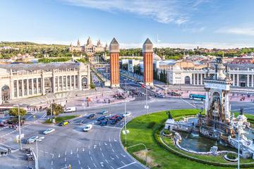 Barcelona Private Guided Shore Excursion