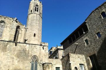 Gothic District and Picasso Museum Small Group Tour