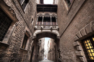 Private Guided Tour: Picasso in Barcelona