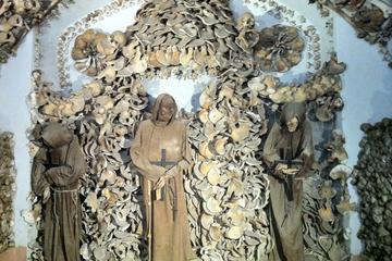 To discovery of the Undergrounds for Kids