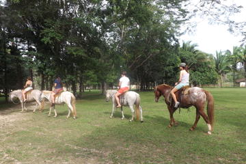 Day Tour to Ixpanpajul Natural Park