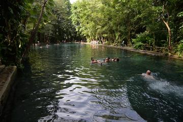 Day Tour of Ometepe Island