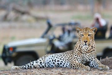 Malaria free Private Big Five Safari - 2 days