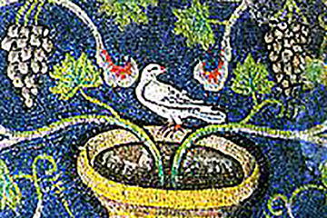 Train and Bike Day Tour from Bologna: Mosaic and Majolica