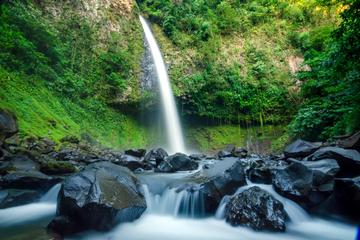 Arenal 2 tours in 1 ( half day )