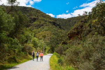 Morialta Conservation Park Small-Group Day Trip from Adelaide