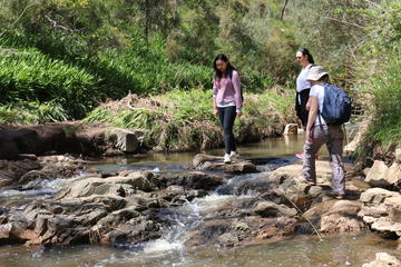 Small Group Bush Walk with Sinclair's Gully Winery Day Trip from Adelaide Including Lunch