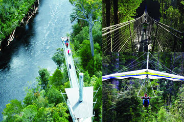 Tahune Airwalk Admission with Optional Cable Hang Gliding From Geeveston