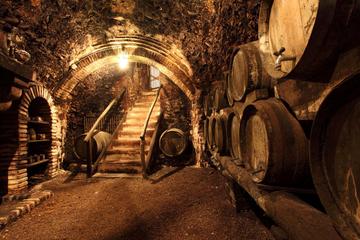 Chianciano Evo Oil and Montepulciano Wine Tour Fullday from Florence