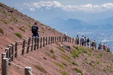 Private Shore Excursion: Full Day from Naples Port to Pompeii Ruins and Mount Vesuvius with Wine Tasting included