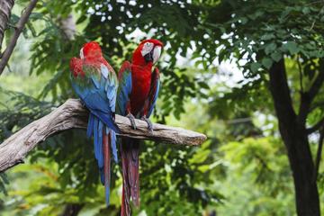 General Admission to Wild Life Park in Punta Cana