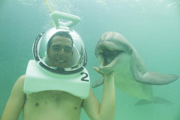 Rencontre avec les dauphins punta cana