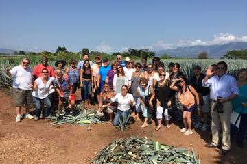 Tequila Cultural Tour from Guadalajara