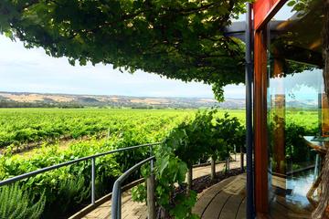 McLaren Vale Highlights from Adelaide or Glenelg Including Wine and Cheese Tasting