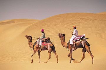 14-Nights Tour of Royal Rajasthan