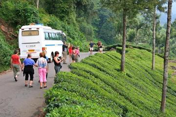 8 Nights 9 Days Experience The Backwaters of Kerala House Boats and Wildlife