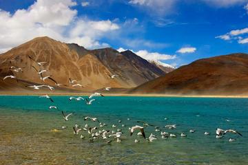 9 Nights 10 Days Experience the adventure and life Full of Journeys at Leh and Ladakh