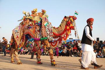 Private 3-Night Jaipur, Ajmer, and Pushkar Tour