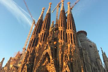 Barcelona Skip-the-Line Gaudi Tour: Sagrada Familia, Park Guell, Casa Batllo