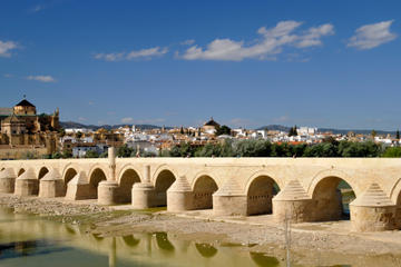 Dagtrip naar Córdoba vanuit Malaga
