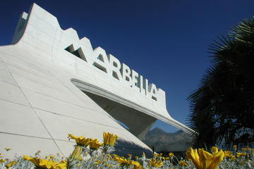 Full-Day Marbella Tour from Malaga