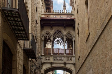 Gothic Quarter Tour and Palau Güell with tapa at Liceo