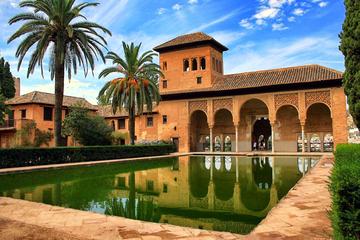 Granada Walking Tour with Alhambra Gardens from Malaga