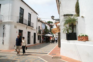 Marbella and Banus Day Coach from Costa del Sol