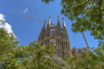 Priority Access: Barcelona Sagrada Familia Tour with Optional Tower Entry