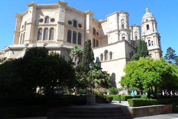 Small Group Malaga Tapas and Picasso Museum from Costa del Sol