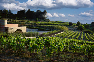VIP Penedes & Montserrat: Wine, Cava & Oil Experience with Local Brunch