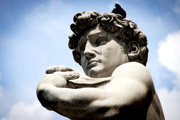 Florence art culture shopping and PRIVATE Wine Tour from Livorno