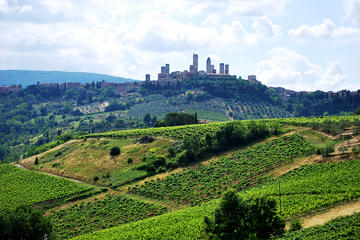 San Gimignano and Chianti Classico Wine and Food PRIVATE TOUR from Florence