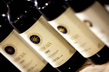 San Gimignano Volterra and Bolgheri Supertuscans Wine PRIVATE TOUR from Florence