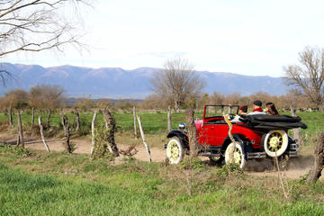 Private Antique Tour of Lake and Mountains