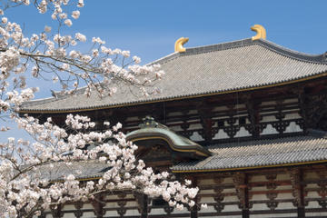 Kyoto and Nara Day Tour Including Golden Pavilion and Todai-ji Temple from Osaka