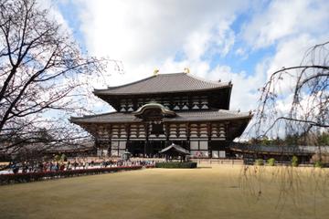 Kyoto and Nara Day Trip from Kyoto including Nijo Castle