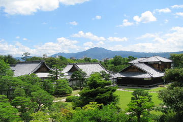Kyoto Day Tour of Golden Pavilion, Nijo Castle and Sanjusangendo from Osaka