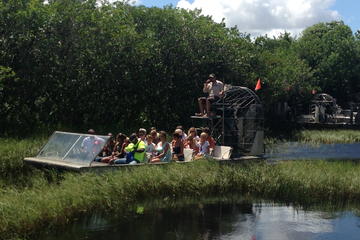 3-hour Everglades Tour from Miami