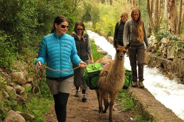 8-Night Tour to Cusco from Lima by Air: Peru Andean Living and Culture