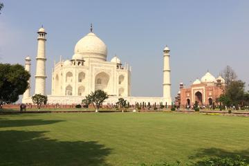 2-Day Tour of Taj Mahal including Visiting Elephant and Bear Resource Center