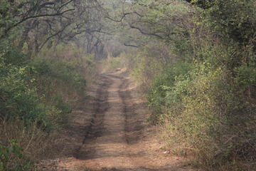 Bike and Hike Adventure from Delhi