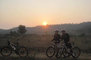 Private Tour: Cycling in Rajasthan's Villages with Lunch at the Grand Palace