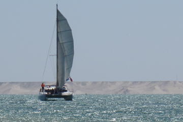 Sahara Catamaran Sailing
