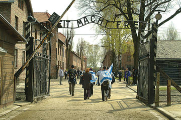 Auschwitz-Birkenau Memorial and Museum from Kraków: Afternoon Tour