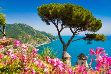 POMPEII AND SORRENTO WITH LIMONCELLO TASTING FROM ROME BY HIGH-SPEED TRAIN